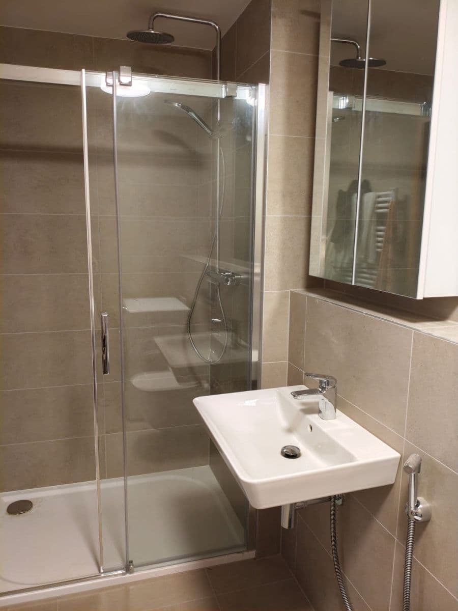1 bedroom with open-plan kitchen flat to rent, 45 m², Budovcova, Prague, Prague 1 bedroom with open-plan kitchen flat to rent, 45 m², Budovcova, Prague, Prague
