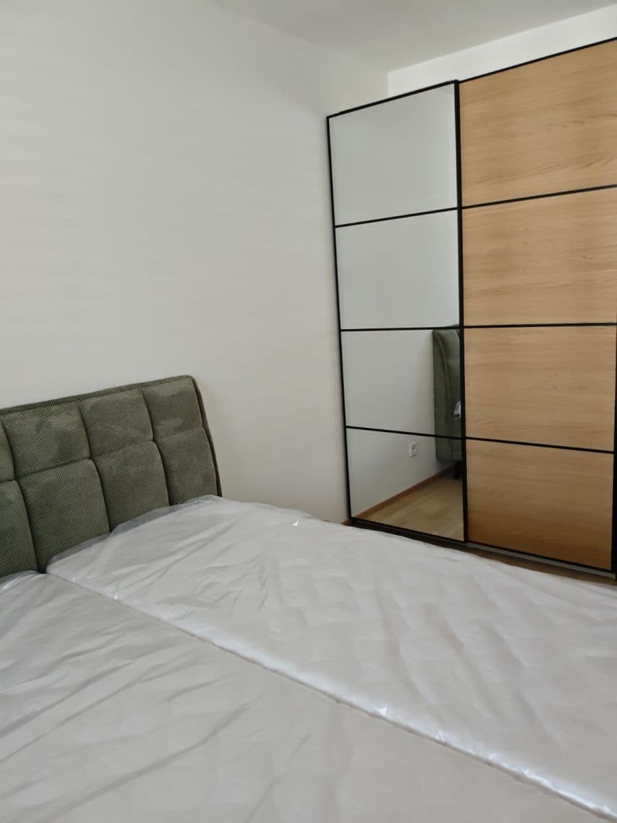 1 bedroom with open-plan kitchen flat to rent, 45 m², Budovcova, Prague, Prague 1 bedroom with open-plan kitchen flat to rent, 45 m², Budovcova, Prague, Prague