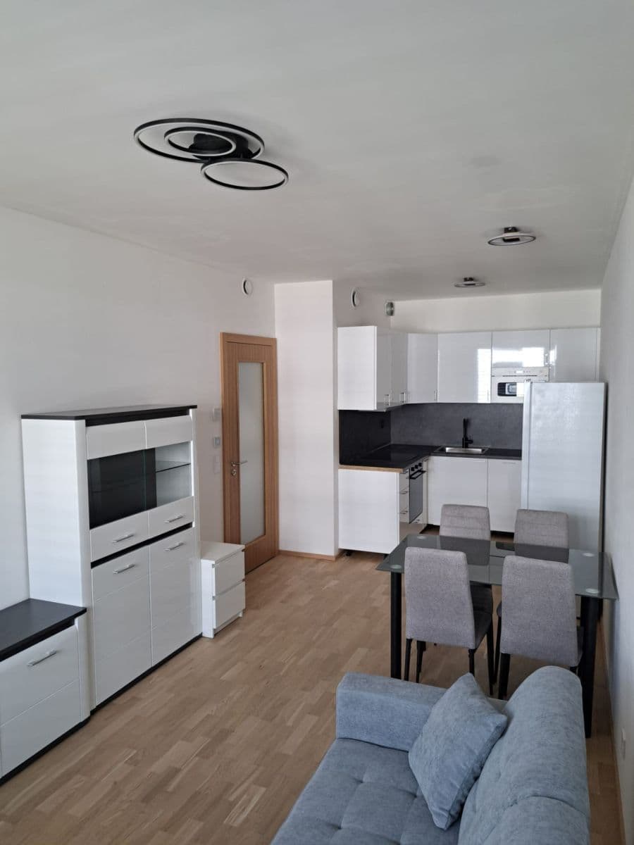 1 bedroom with open-plan kitchen flat to rent, 45 m², Budovcova, Prague, Prague 1 bedroom with open-plan kitchen flat to rent, 45 m², Budovcova, Prague, Prague