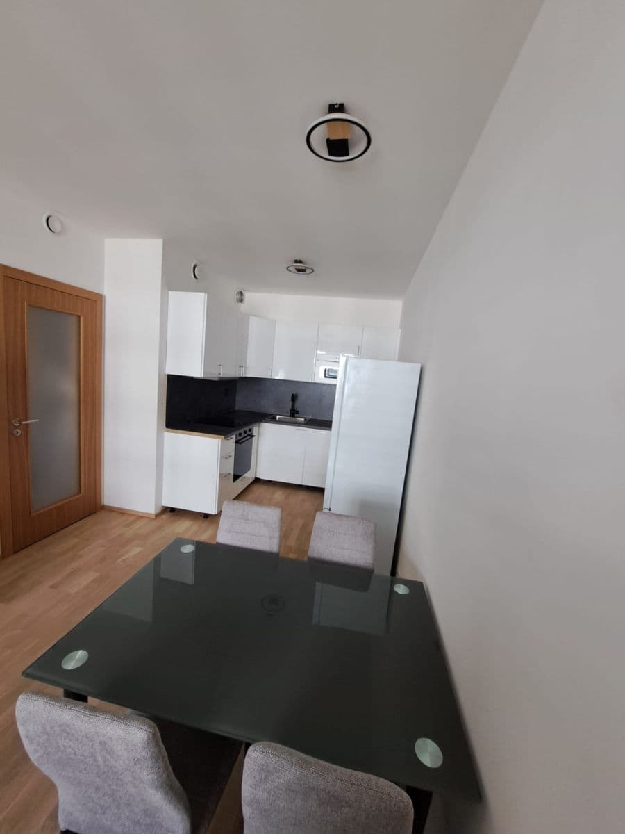 1 bedroom with open-plan kitchen flat to rent, 45 m², Budovcova, Prague, Prague 1 bedroom with open-plan kitchen flat to rent, 45 m², Budovcova, Prague, Prague