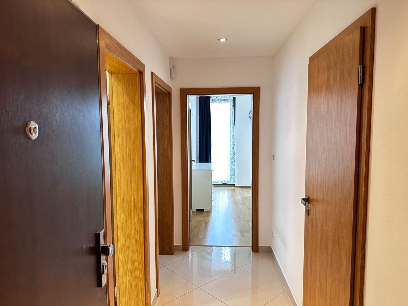 1 bedroom with open-plan kitchen flat to rent, 61 m², Olšanská, Prague, Prague 1 bedroom with open-plan kitchen flat to rent, 61 m², Olšanská, Prague, Prague