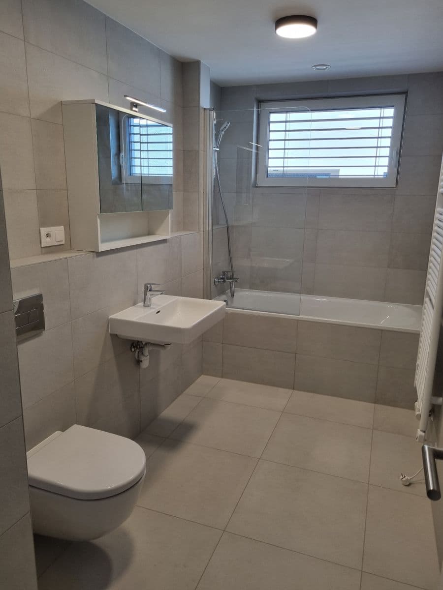 1 bedroom with open-plan kitchen flat to rent, 60 m², Pod Krocínkou, Prague, Prague 1 bedroom with open-plan kitchen flat to rent, 60 m², Pod Krocínkou, Prague, Prague