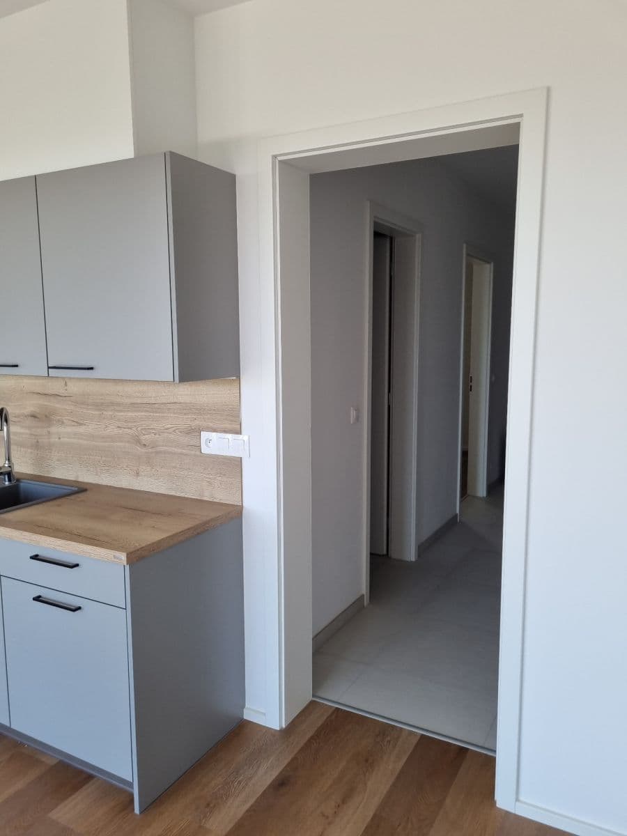 1 bedroom with open-plan kitchen flat to rent, 60 m², Pod Krocínkou, Prague, Prague 1 bedroom with open-plan kitchen flat to rent, 60 m², Pod Krocínkou, Prague, Prague