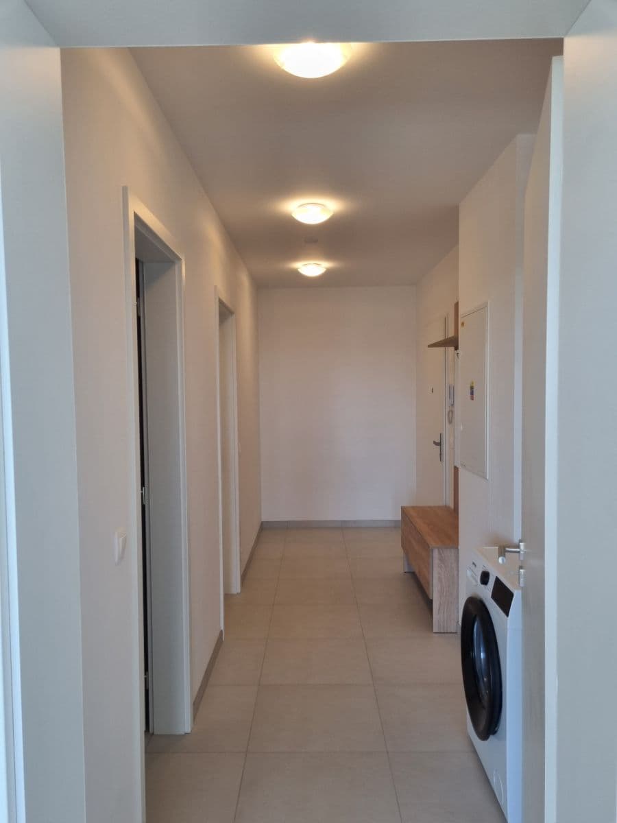 1 bedroom with open-plan kitchen flat to rent, 60 m², Pod Krocínkou, Prague, Prague 1 bedroom with open-plan kitchen flat to rent, 60 m², Pod Krocínkou, Prague, Prague