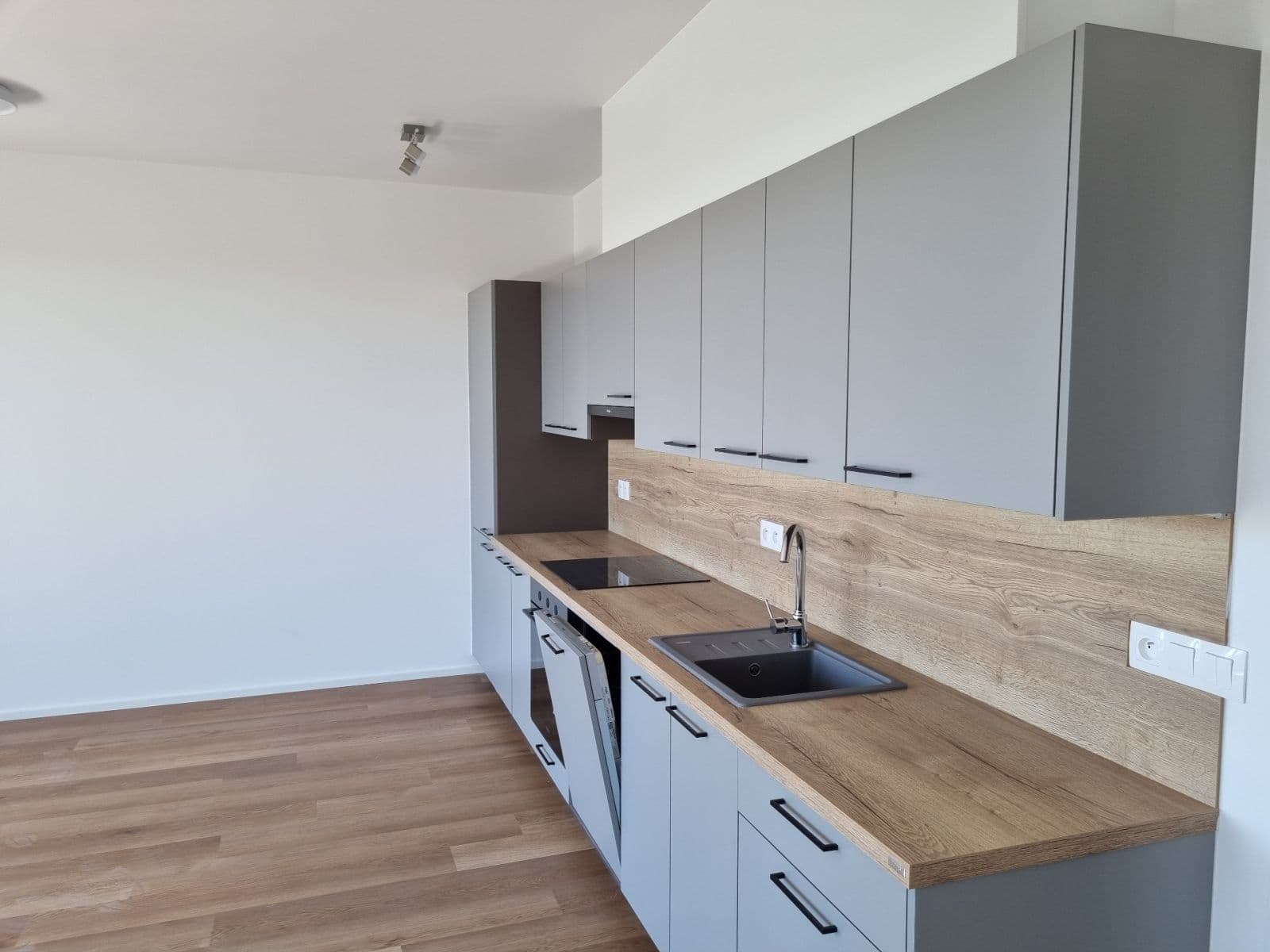 1 bedroom with open-plan kitchen flat to rent, 60 m², Pod Krocínkou, Prague, Prague 1 bedroom with open-plan kitchen flat to rent, 60 m², Pod Krocínkou, Prague, Prague