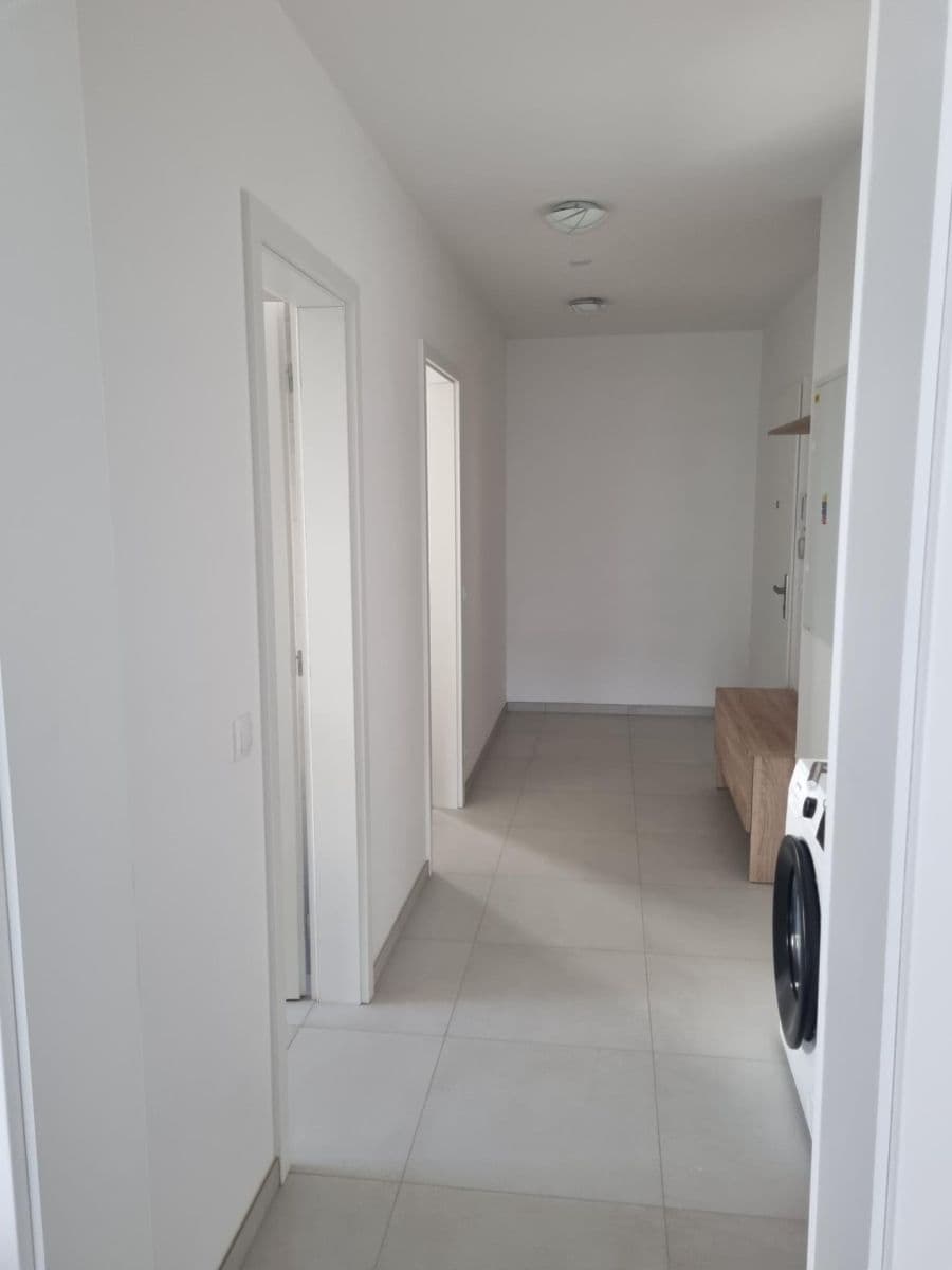1 bedroom with open-plan kitchen flat to rent, 60 m², Pod Krocínkou, Prague, Prague 1 bedroom with open-plan kitchen flat to rent, 60 m², Pod Krocínkou, Prague, Prague