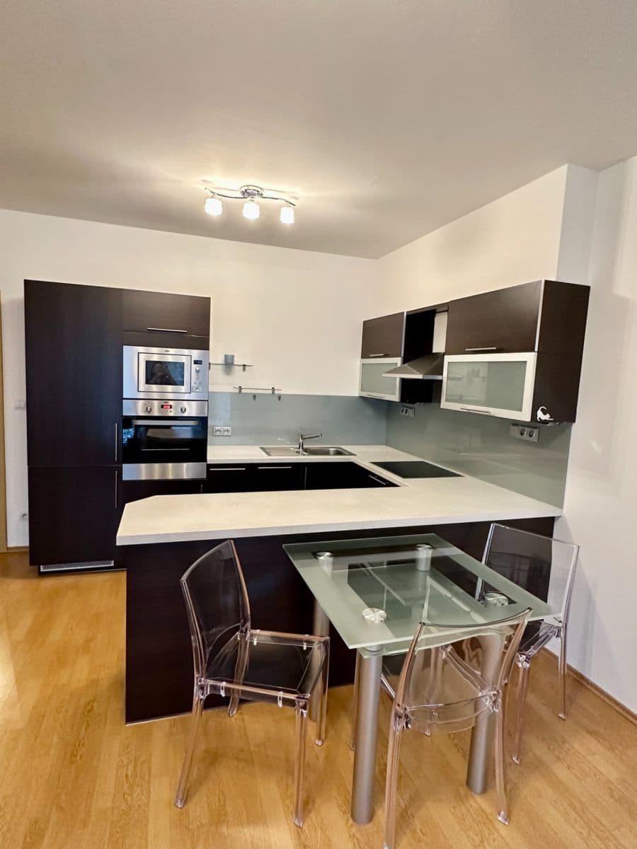 1 bedroom with open-plan kitchen flat to rent, 73 m², Panuškova, Prague, Prague 1 bedroom with open-plan kitchen flat to rent, 73 m², Panuškova, Prague, Prague