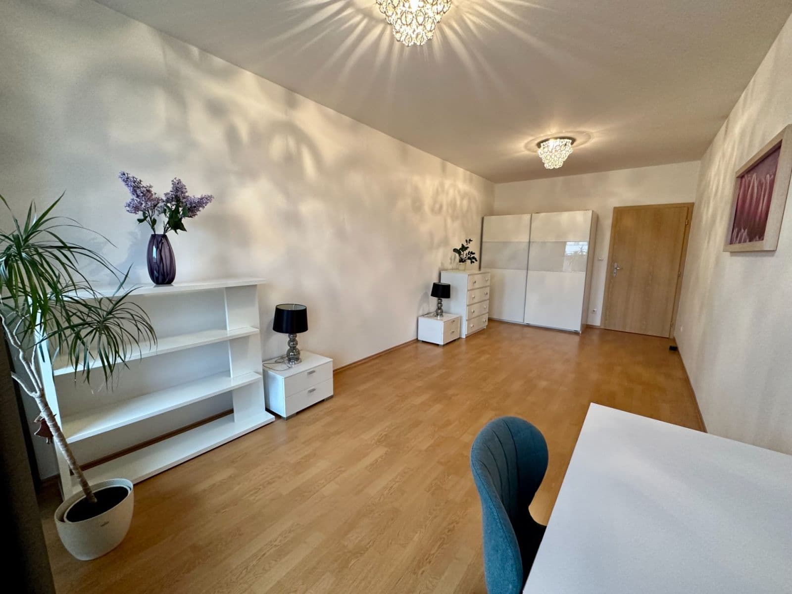 1 bedroom with open-plan kitchen flat to rent, 73 m², Panuškova, Prague, Prague 1 bedroom with open-plan kitchen flat to rent, 73 m², Panuškova, Prague, Prague