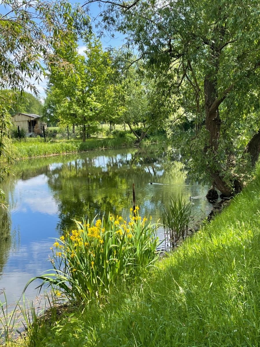 plot for sale, 600 m², Louny, Ústecký Region plot for sale, 600 m², Louny, Ústecký Region
