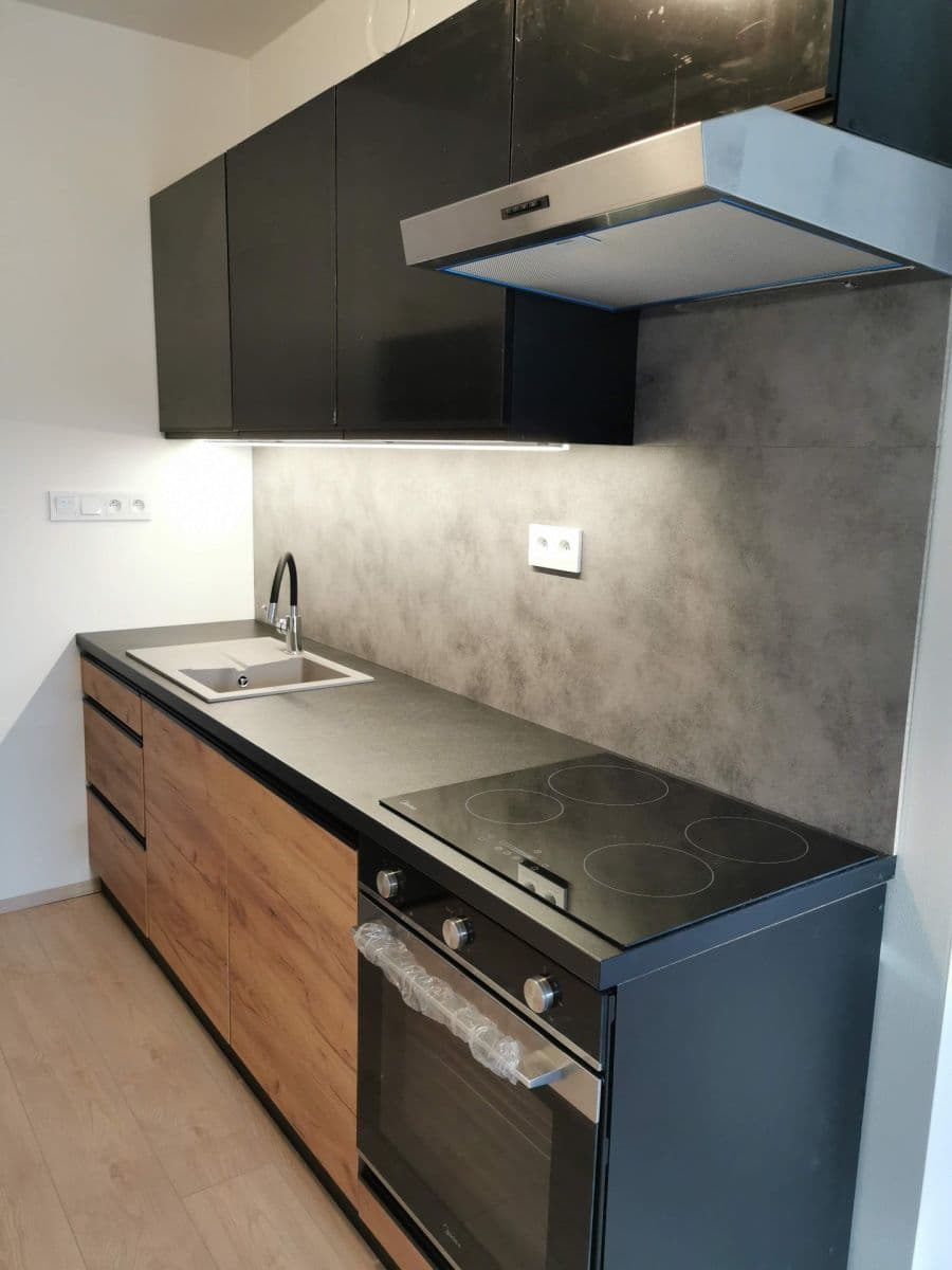 1 bedroom with open-plan kitchen flat to rent, 44 m², Františka Diviše, Prague, Prague 1 bedroom with open-plan kitchen flat to rent, 44 m², Františka Diviše, Prague, Prague