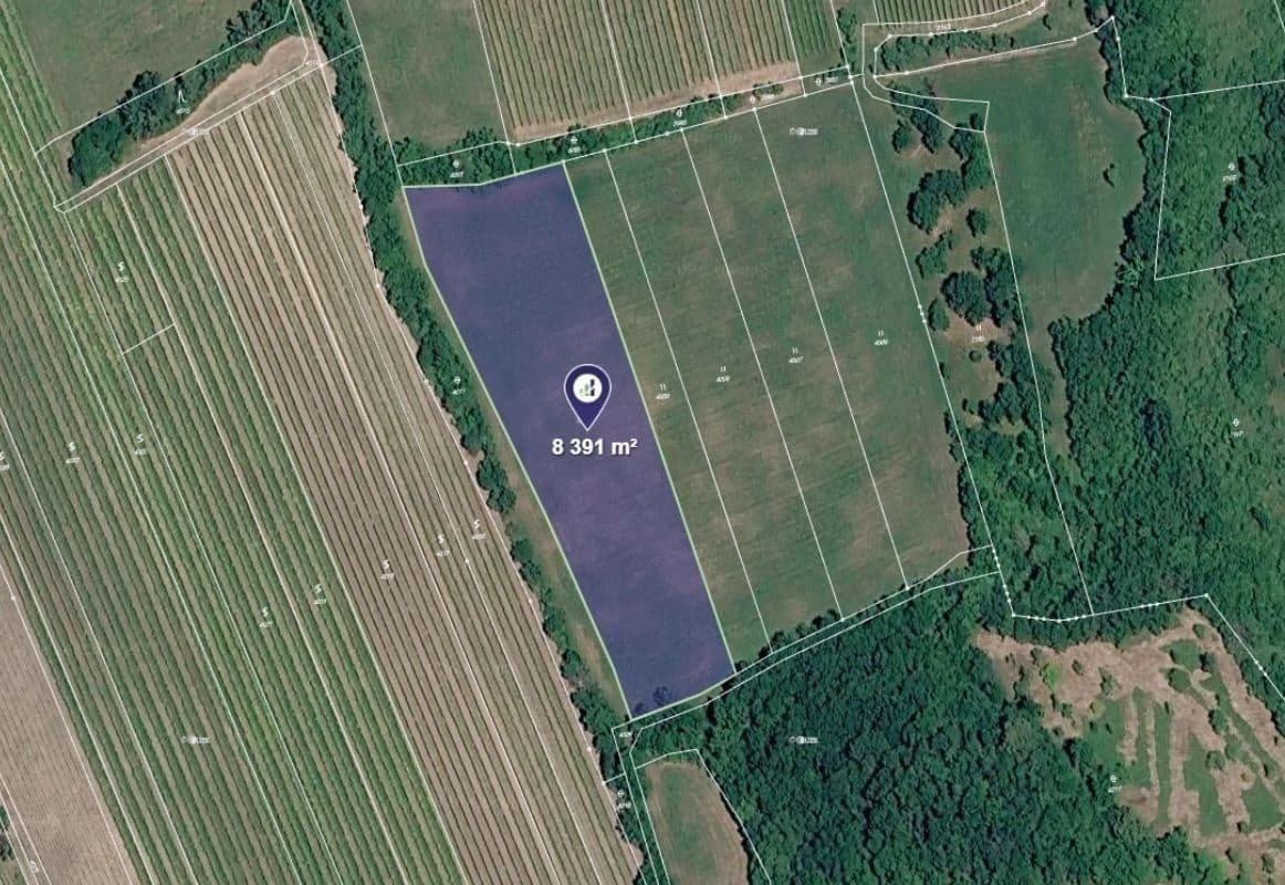 plot for sale, 8,391 m², Horní Věstonice, Jihomoravský Region plot for sale, 8,391 m², Horní Věstonice, Jihomoravský Region