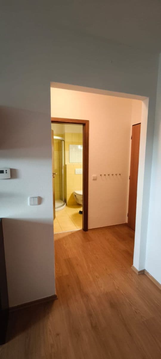 1 bedroom with open-plan kitchen flat to rent, 39 m², Kpt. Jaroše, Tábor, Jihočeský Region 1 bedroom with open-plan kitchen flat to rent, 39 m², Kpt. Jaroše, Tábor, Jihočeský Region