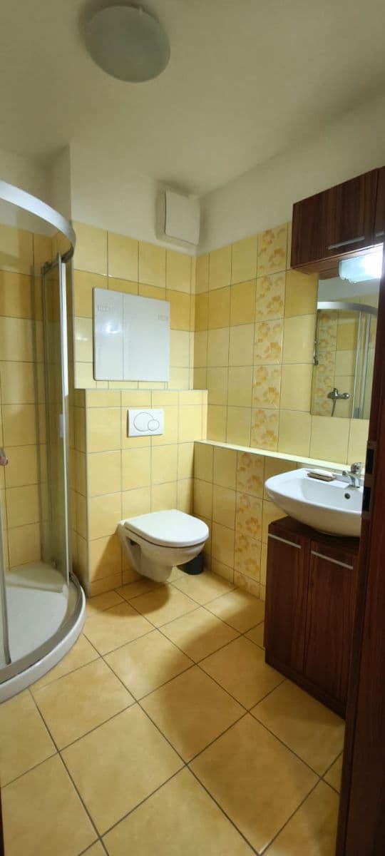 1 bedroom with open-plan kitchen flat to rent, 39 m², Kpt. Jaroše, Tábor, Jihočeský Region 1 bedroom with open-plan kitchen flat to rent, 39 m², Kpt. Jaroše, Tábor, Jihočeský Region