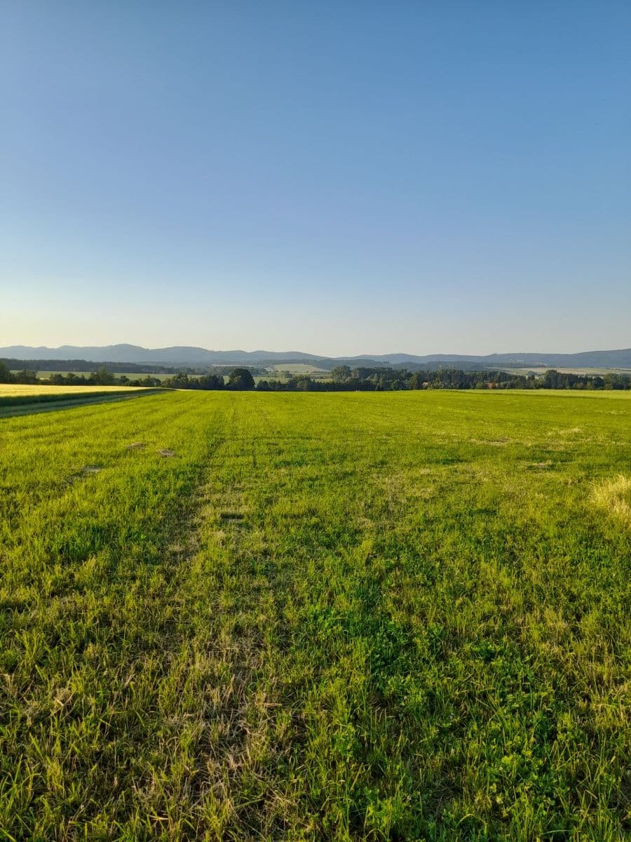 plot for sale, 79,627 m², Křinice, Královéhradecký Region plot for sale, 79,627 m², Křinice, Královéhradecký Region