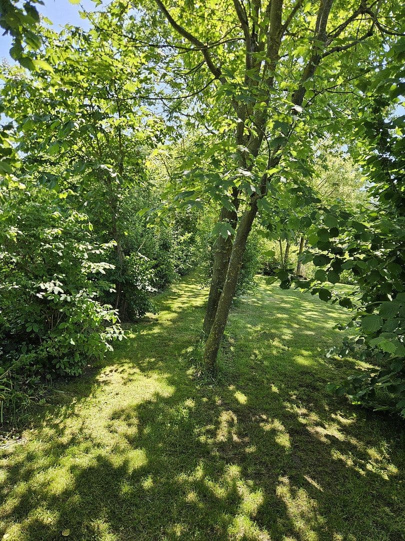 house for sale, 243 m², Barver, Lower Saxony house for sale, 243 m², Barver, Lower Saxony