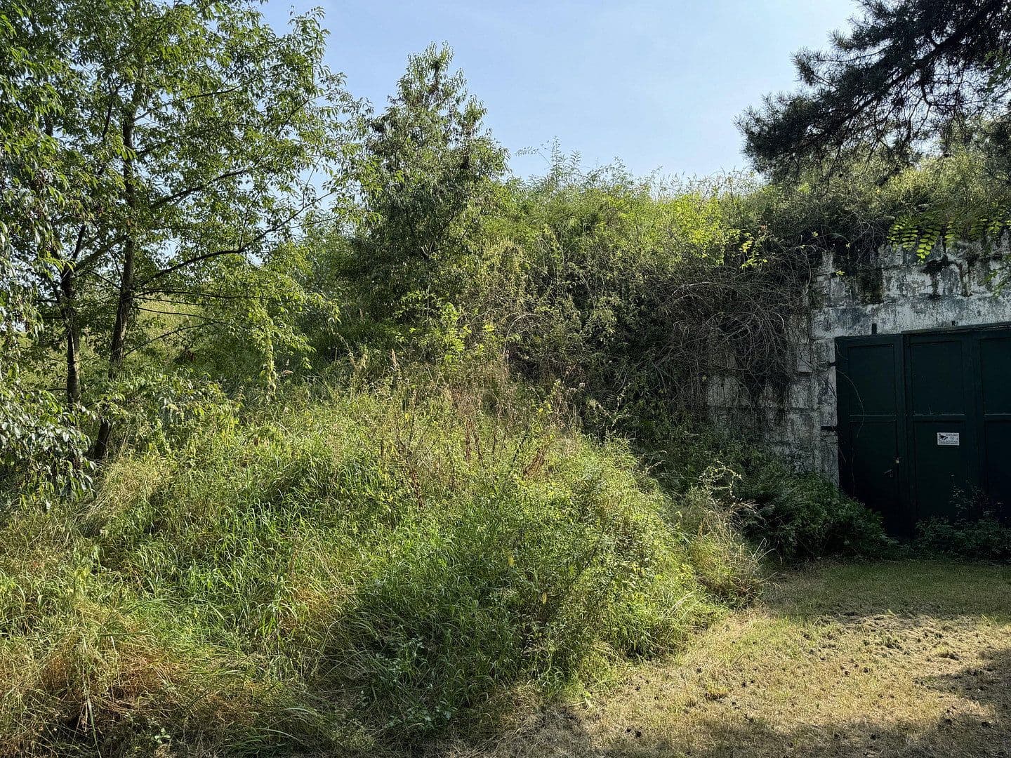 non-residential property for sale, 5,404 m², Zur Alten Landebahn 8, Neuhardenberg, Brandenburg non-residential property for sale, 5,404 m², Zur Alten Landebahn 8, Neuhardenberg, Brandenburg