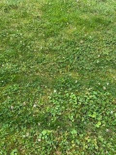house for sale, 440 m², Gera, Thuringia house for sale, 440 m², Gera, Thuringia