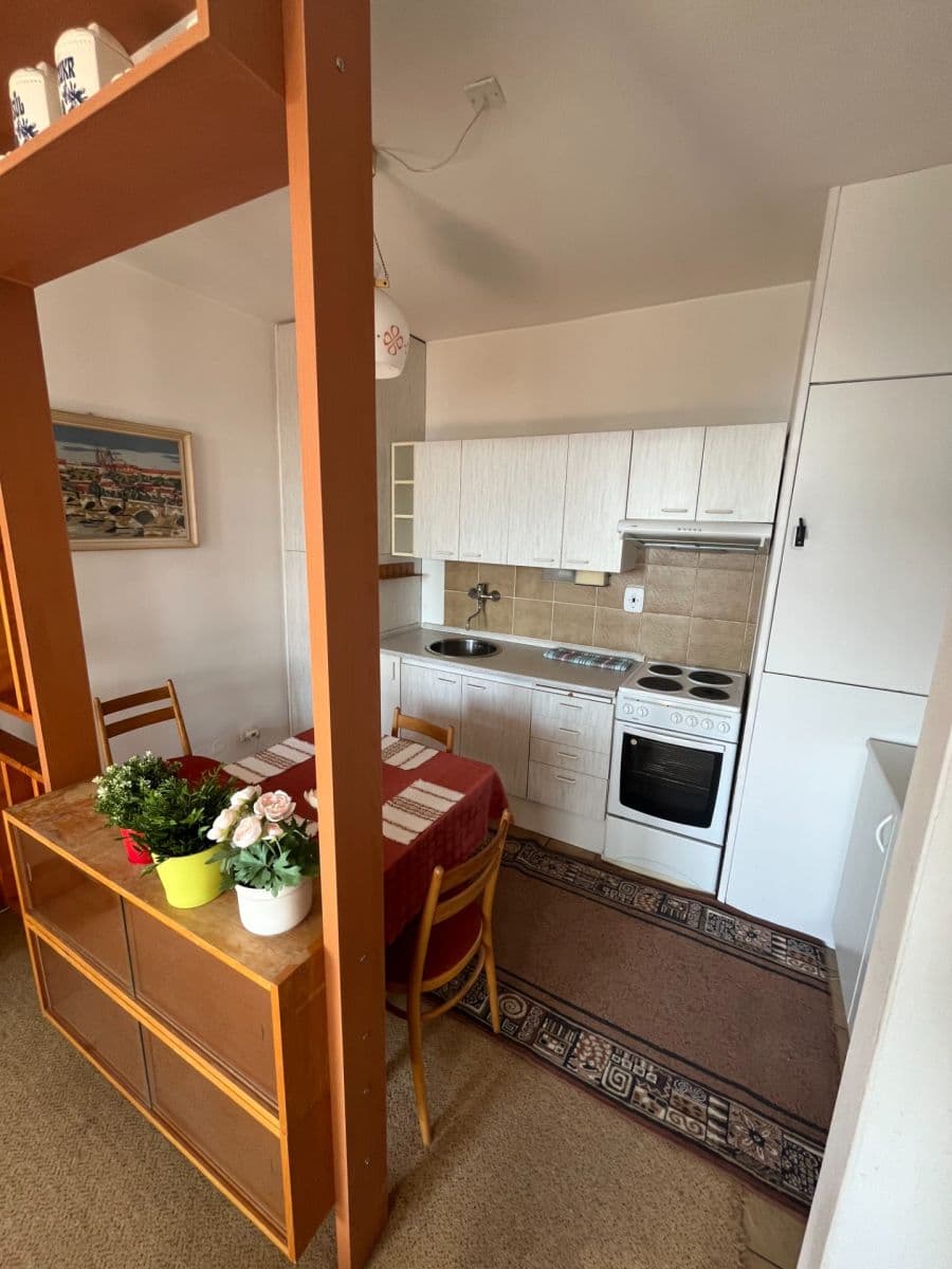 1 bedroom with open-plan kitchen flat to rent, 54 m², Hudečkova, Prague, Prague 1 bedroom with open-plan kitchen flat to rent, 54 m², Hudečkova, Prague, Prague