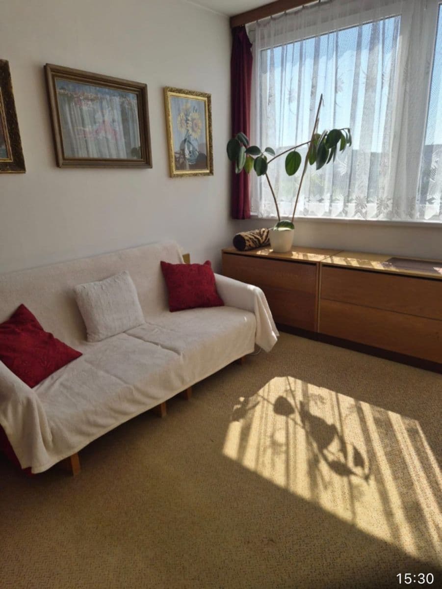 1 bedroom with open-plan kitchen flat to rent, 54 m², Hudečkova, Prague, Prague 1 bedroom with open-plan kitchen flat to rent, 54 m², Hudečkova, Prague, Prague
