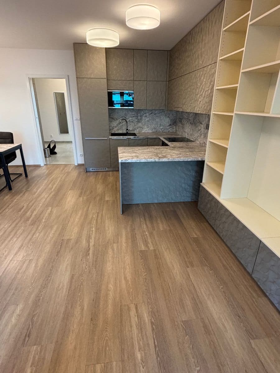 2 bedroom with open-plan kitchen flat to rent, 75 m², Olgy Havlové, Prague, Prague 2 bedroom with open-plan kitchen flat to rent, 75 m², Olgy Havlové, Prague, Prague