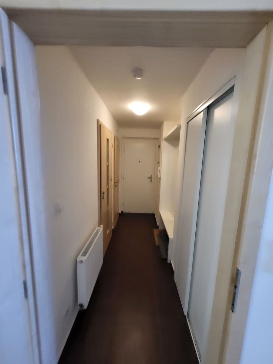 1 bedroom with open-plan kitchen flat to rent, 55 m², Osadní, Prague, Prague 1 bedroom with open-plan kitchen flat to rent, 55 m², Osadní, Prague, Prague