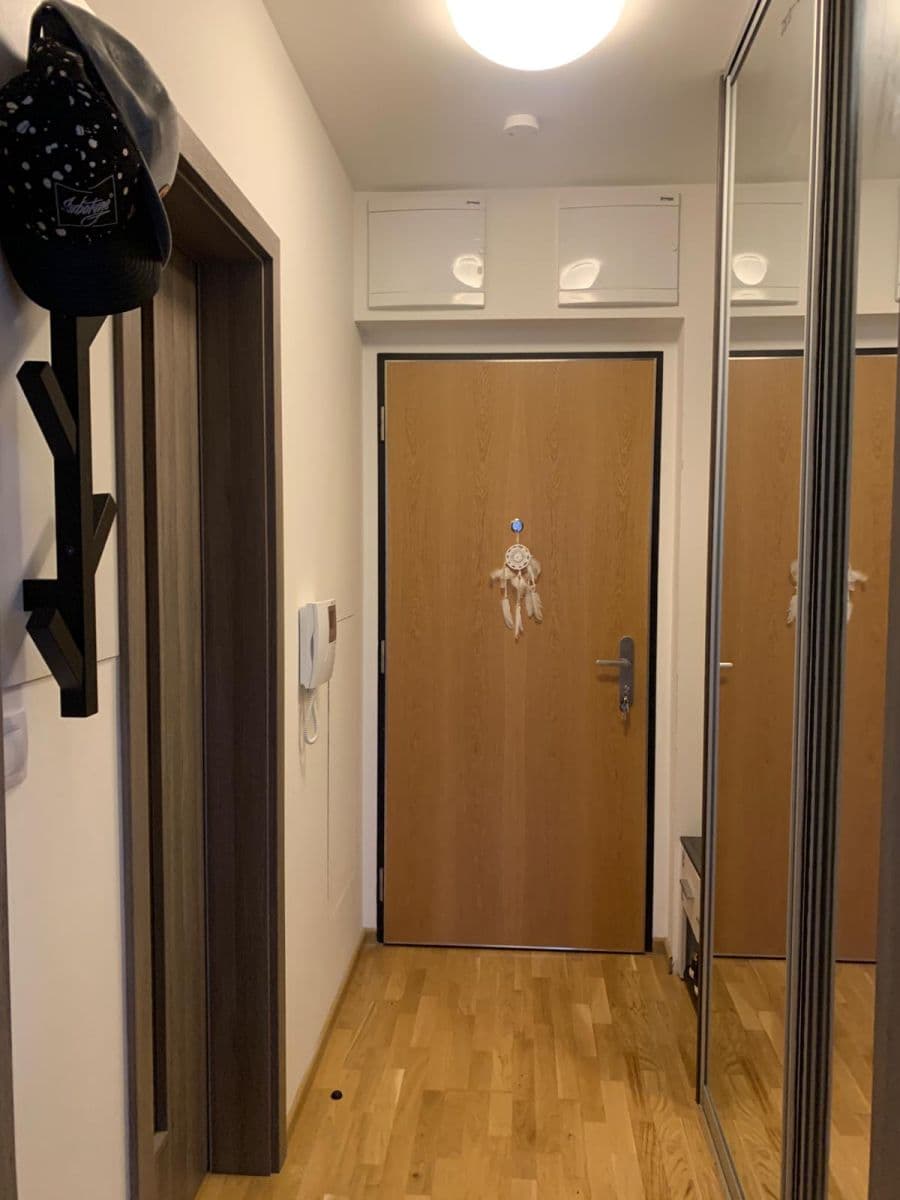 Studio flat to rent, 36 m², Olgy Havlové, Prague, Prague Studio flat to rent, 36 m², Olgy Havlové, Prague, Prague