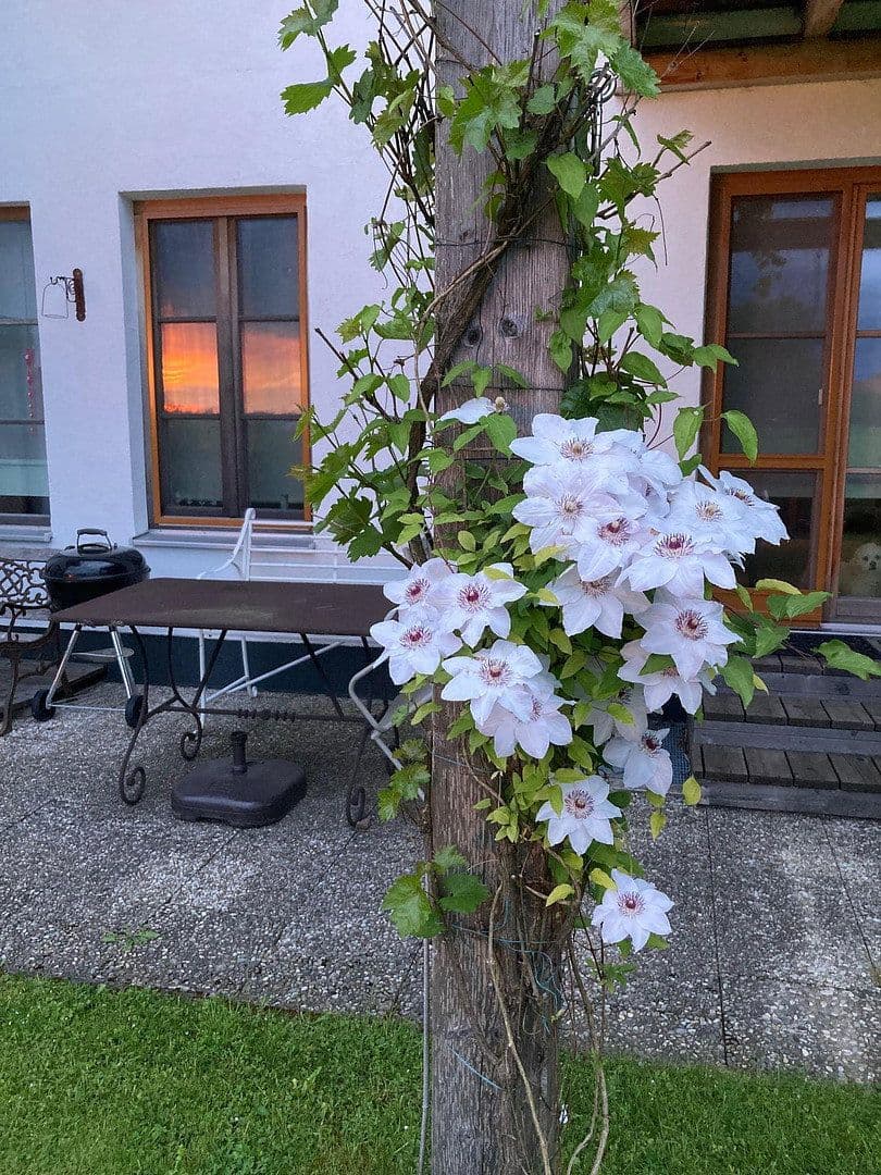 house for sale, 218 m², Bergen, Bavaria house for sale, 218 m², Bergen, Bavaria