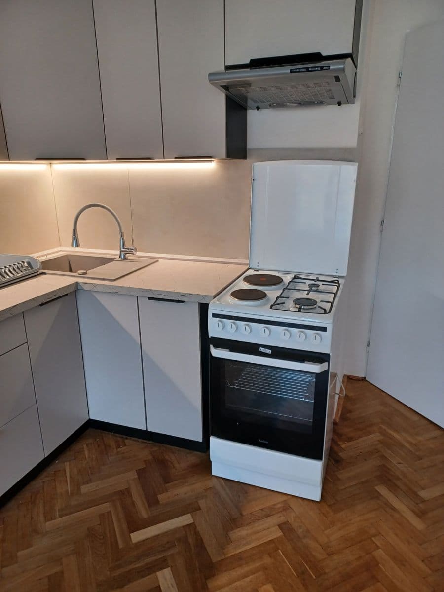 1 bedroom with open-plan kitchen flat to rent, 48 m², Korunní, Prague, Prague 1 bedroom with open-plan kitchen flat to rent, 48 m², Korunní, Prague, Prague