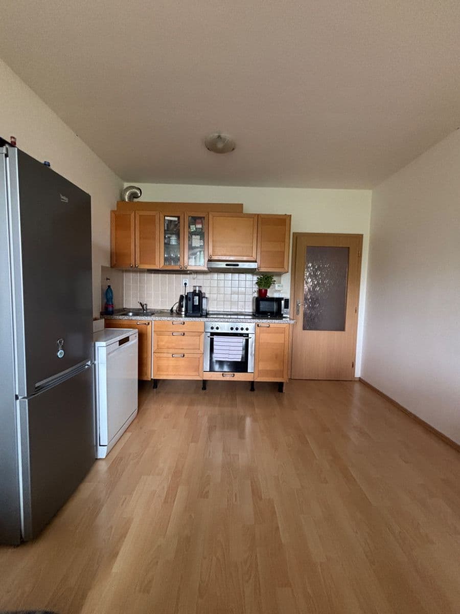 1 bedroom with open-plan kitchen flat to rent, 48 m², Pod Haltýřem, Prague, Prague 1 bedroom with open-plan kitchen flat to rent, 48 m², Pod Haltýřem, Prague, Prague