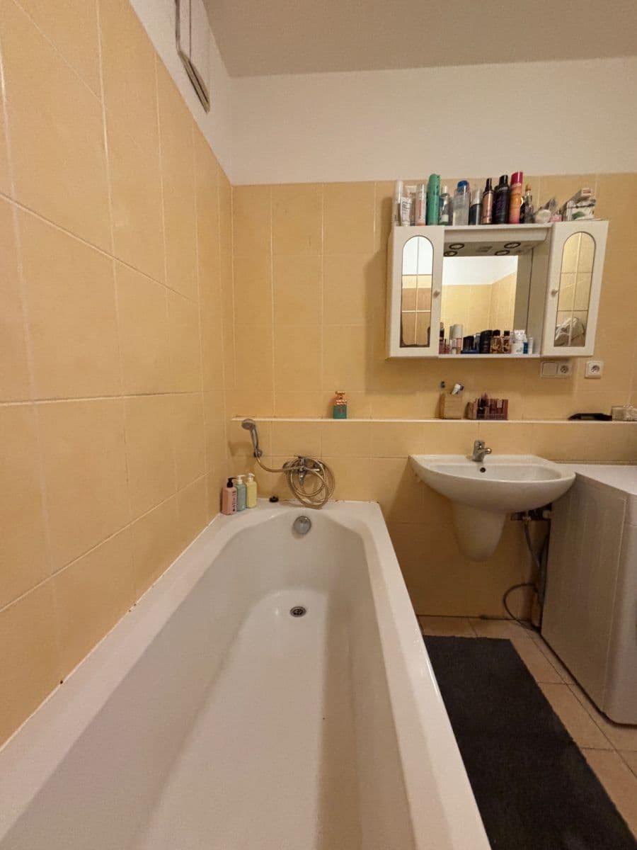 1 bedroom with open-plan kitchen flat to rent, 48 m², Pod Haltýřem, Prague, Prague 1 bedroom with open-plan kitchen flat to rent, 48 m², Pod Haltýřem, Prague, Prague