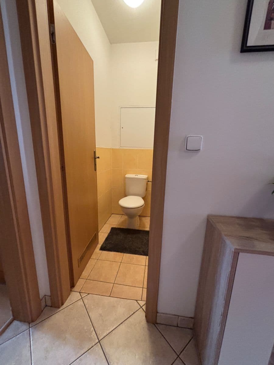 1 bedroom with open-plan kitchen flat to rent, 48 m², Pod Haltýřem, Prague, Prague 1 bedroom with open-plan kitchen flat to rent, 48 m², Pod Haltýřem, Prague, Prague