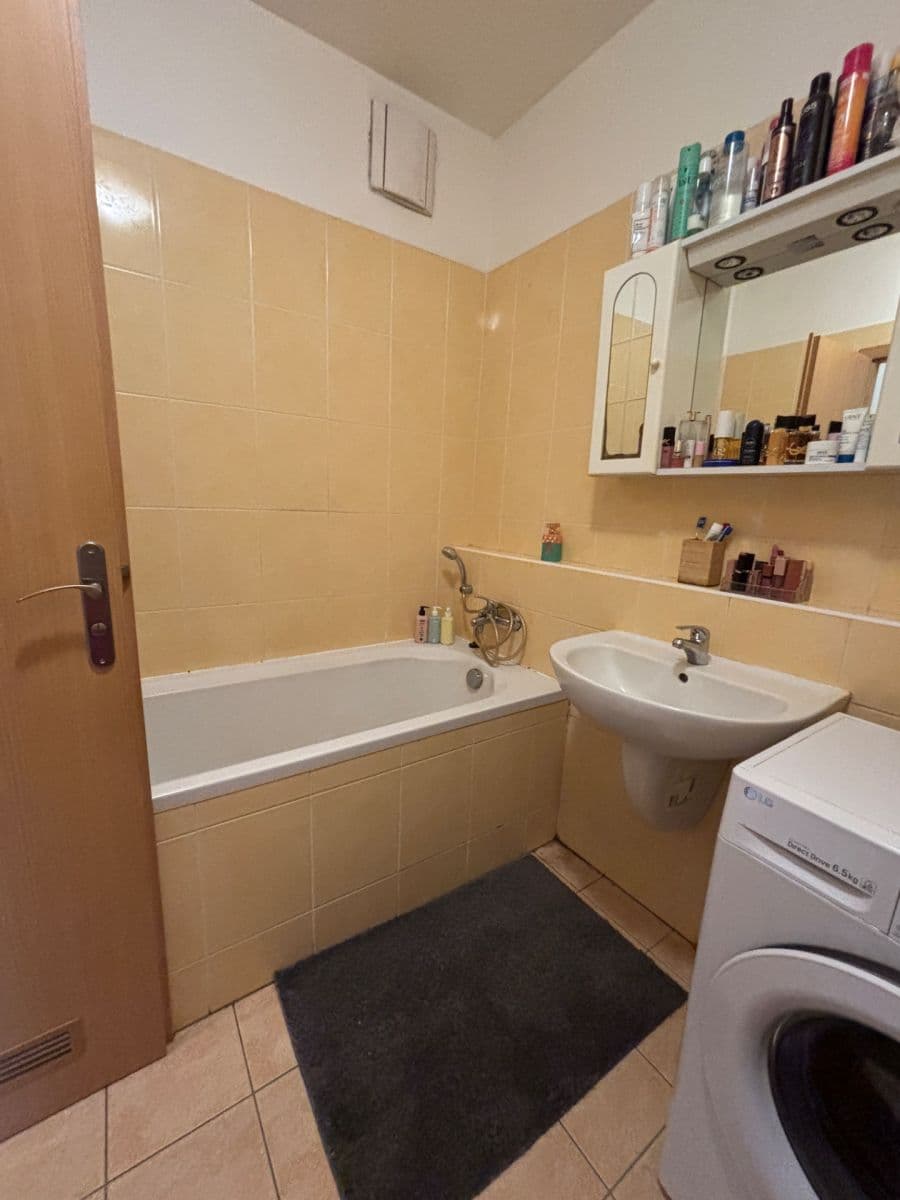 1 bedroom with open-plan kitchen flat to rent, 48 m², Pod Haltýřem, Prague, Prague 1 bedroom with open-plan kitchen flat to rent, 48 m², Pod Haltýřem, Prague, Prague