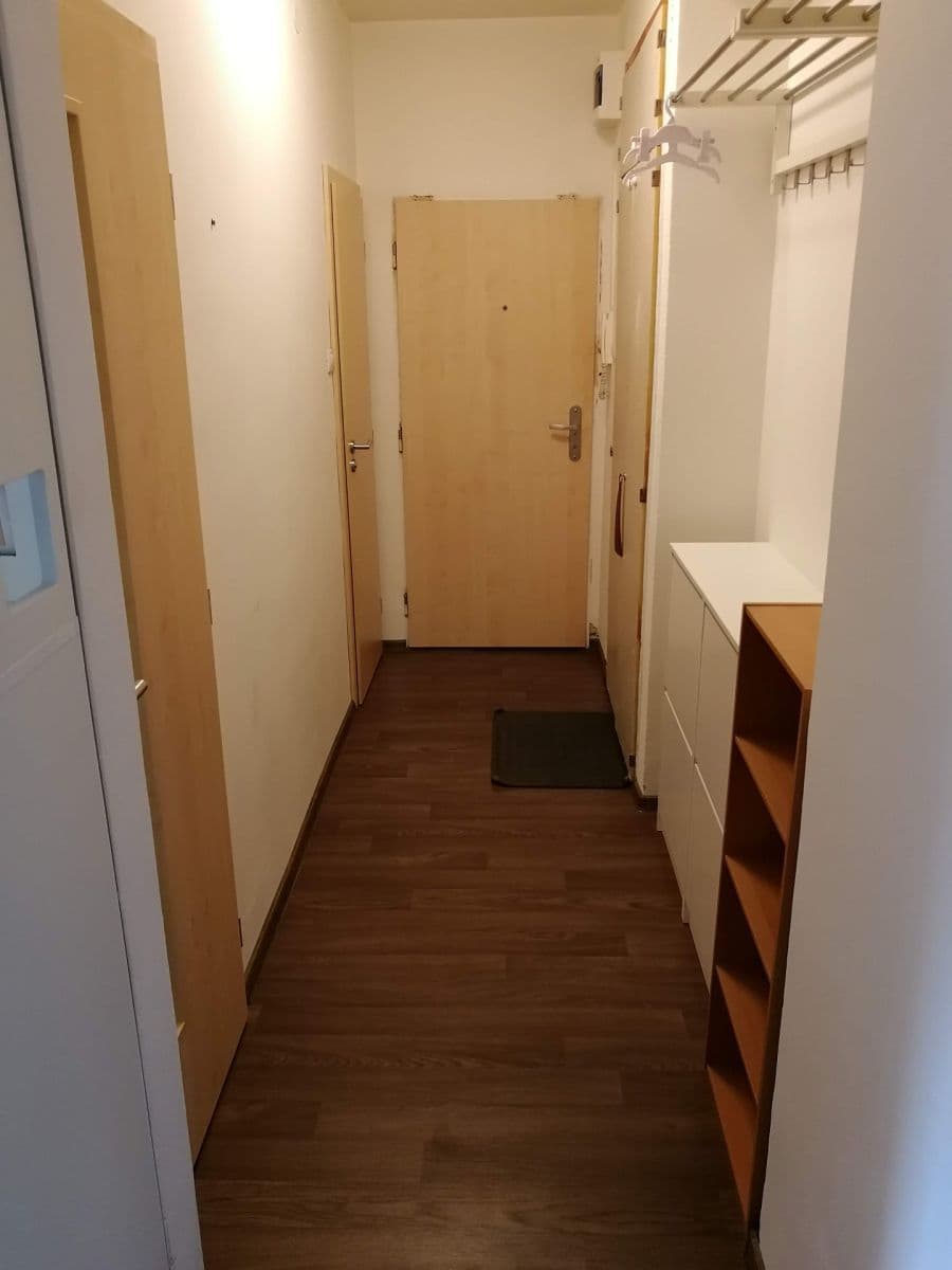 1 bedroom with open-plan kitchen flat to rent, 50 m², Družstevní, Brno, Jihomoravský Region 1 bedroom with open-plan kitchen flat to rent, 50 m², Družstevní, Brno, Jihomoravský Region