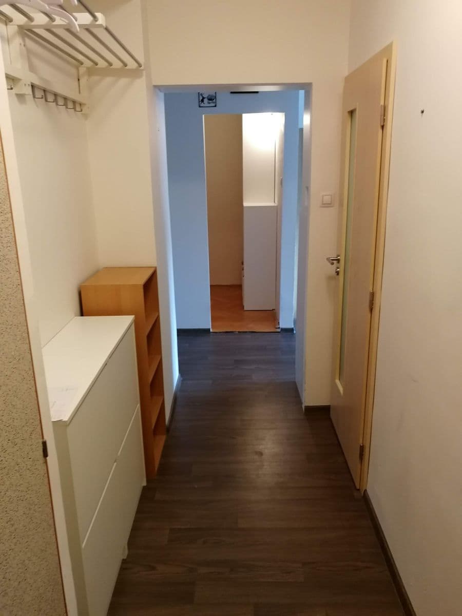 1 bedroom with open-plan kitchen flat to rent, 50 m², Družstevní, Brno, Jihomoravský Region 1 bedroom with open-plan kitchen flat to rent, 50 m², Družstevní, Brno, Jihomoravský Region