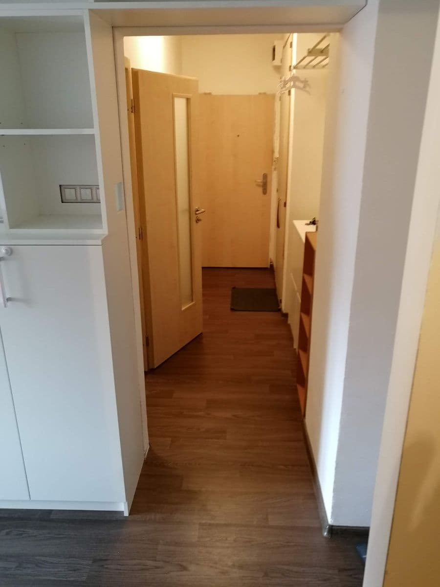 1 bedroom with open-plan kitchen flat to rent, 50 m², Družstevní, Brno, Jihomoravský Region 1 bedroom with open-plan kitchen flat to rent, 50 m², Družstevní, Brno, Jihomoravský Region