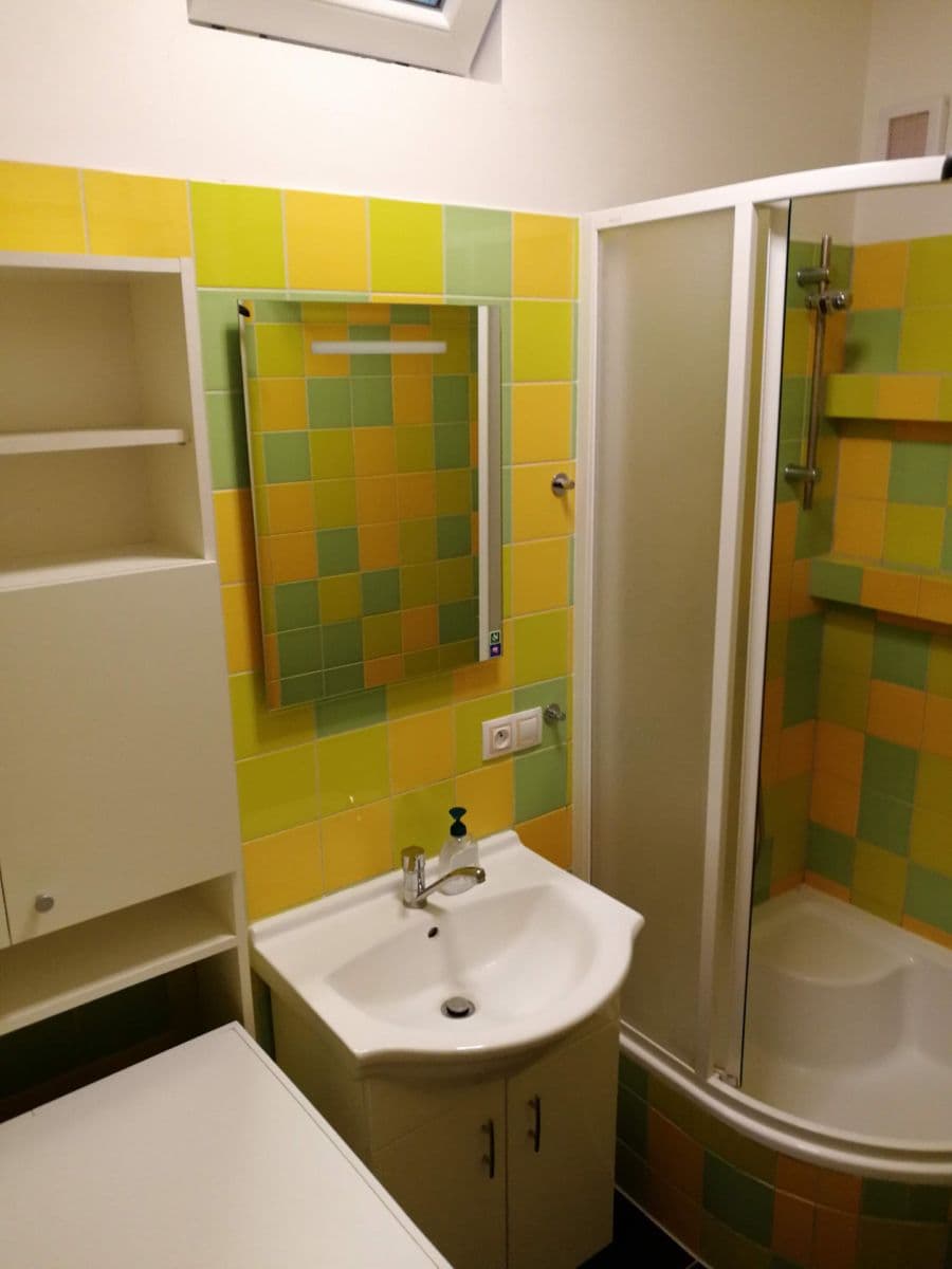 1 bedroom with open-plan kitchen flat to rent, 50 m², Družstevní, Brno, Jihomoravský Region 1 bedroom with open-plan kitchen flat to rent, 50 m², Družstevní, Brno, Jihomoravský Region