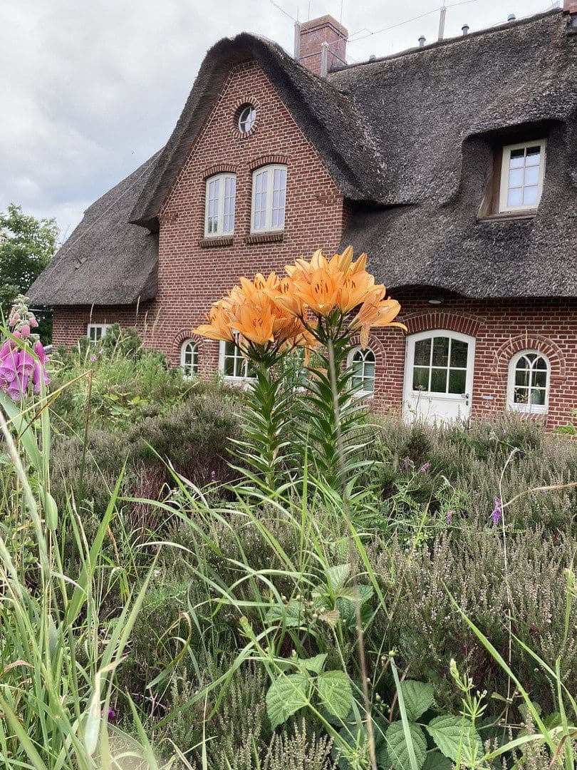 house for sale, 125 m², Weddingstedt, Schleswig-Holstein house for sale, 125 m², Weddingstedt, Schleswig-Holstein