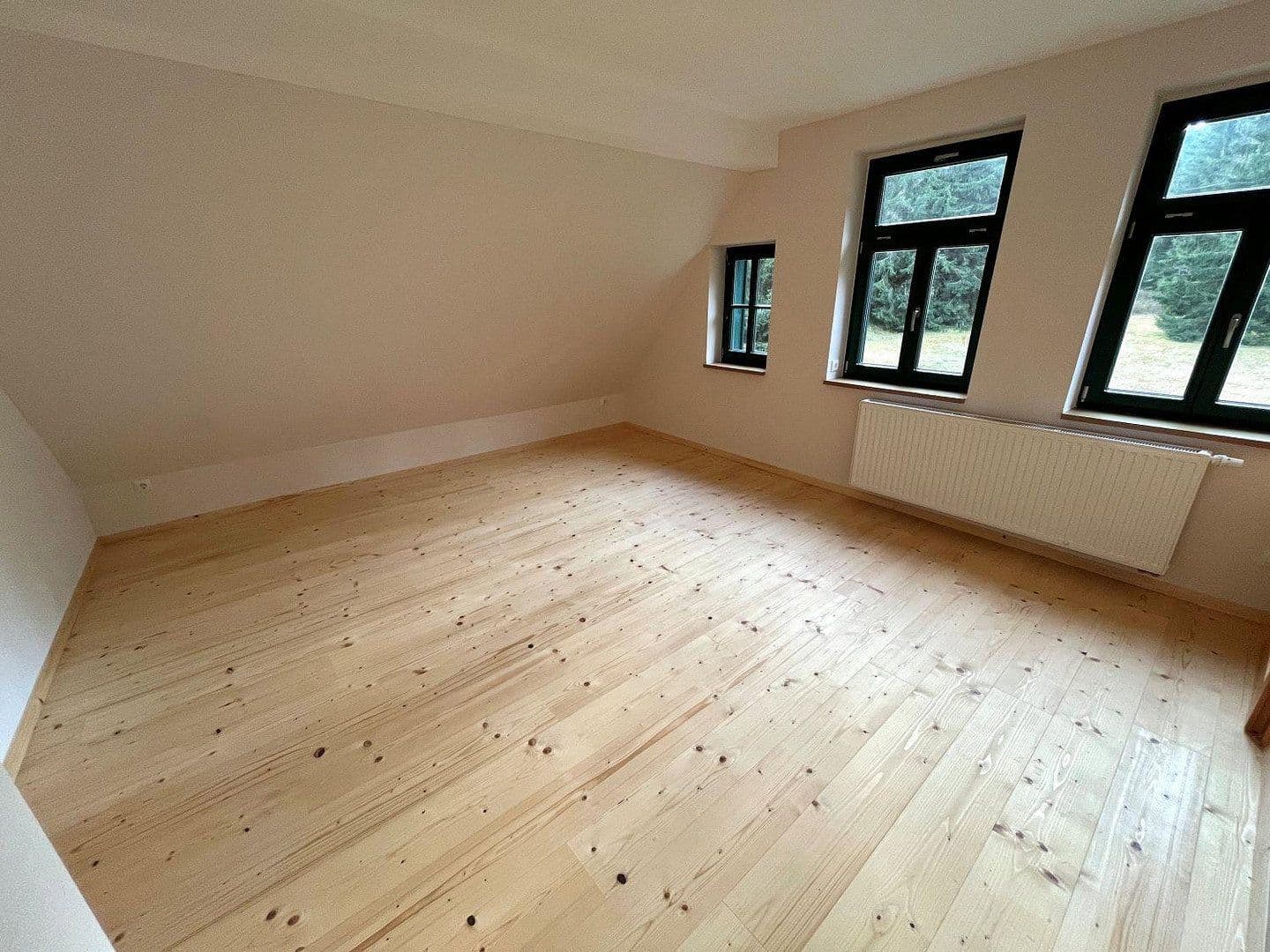 house for sale, 268 m², Eibenstock, Saxony house for sale, 268 m², Eibenstock, Saxony
