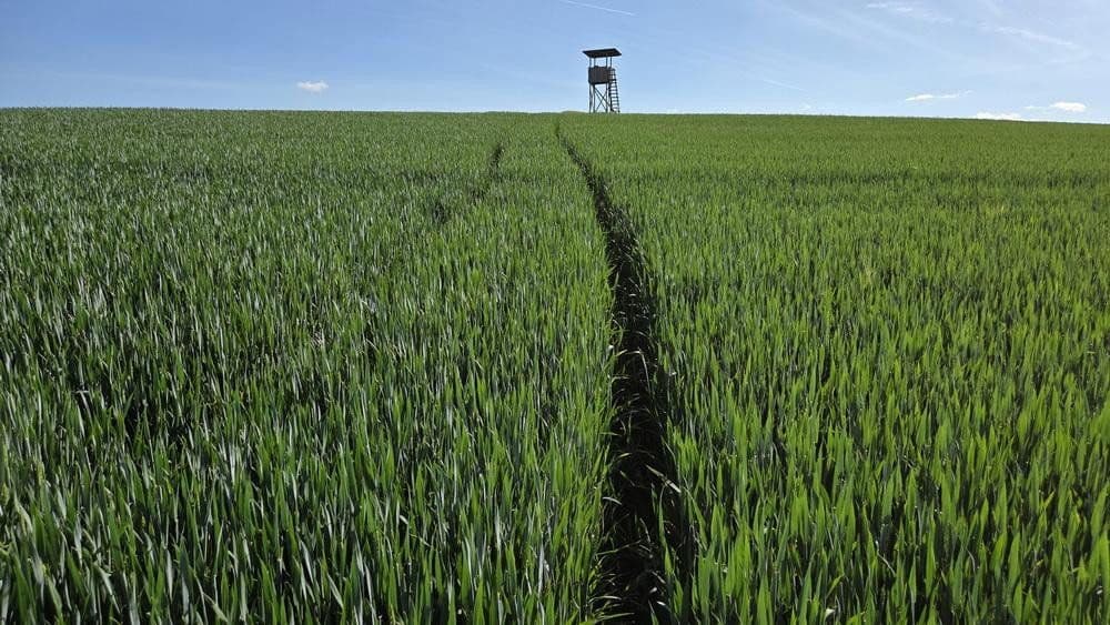 plot for sale, 6,910 m², Leidersbach, Bavaria plot for sale, 6,910 m², Leidersbach, Bavaria