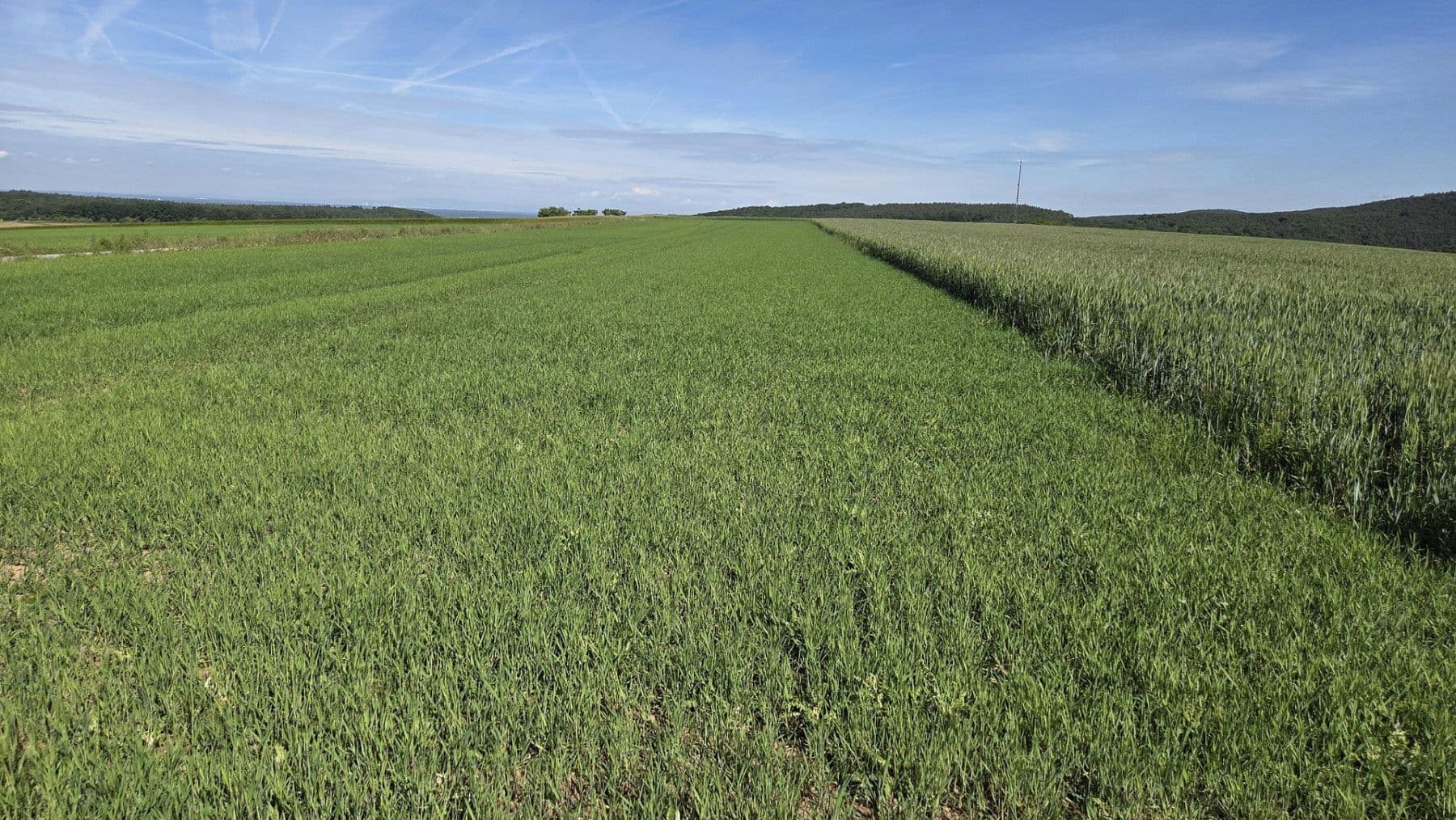 plot for sale, 6,910 m², Leidersbach, Bavaria plot for sale, 6,910 m², Leidersbach, Bavaria