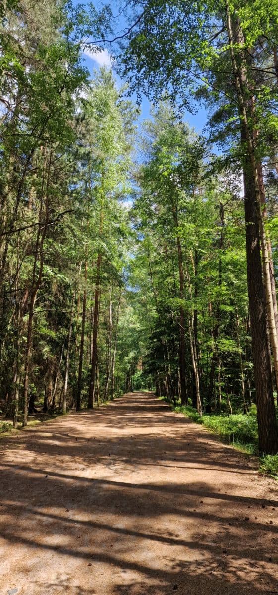 recreational property for sale, 27 m², 0381, Doksy, Liberecký Region recreational property for sale, 27 m², 0381, Doksy, Liberecký Region