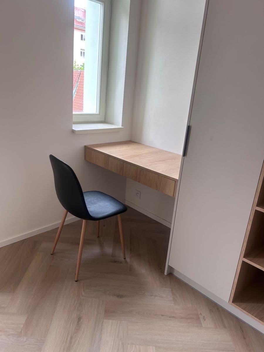 1 bedroom with open-plan kitchen flat to rent, 48 m², Bořivojova, Prague, Prague 1 bedroom with open-plan kitchen flat to rent, 48 m², Bořivojova, Prague, Prague