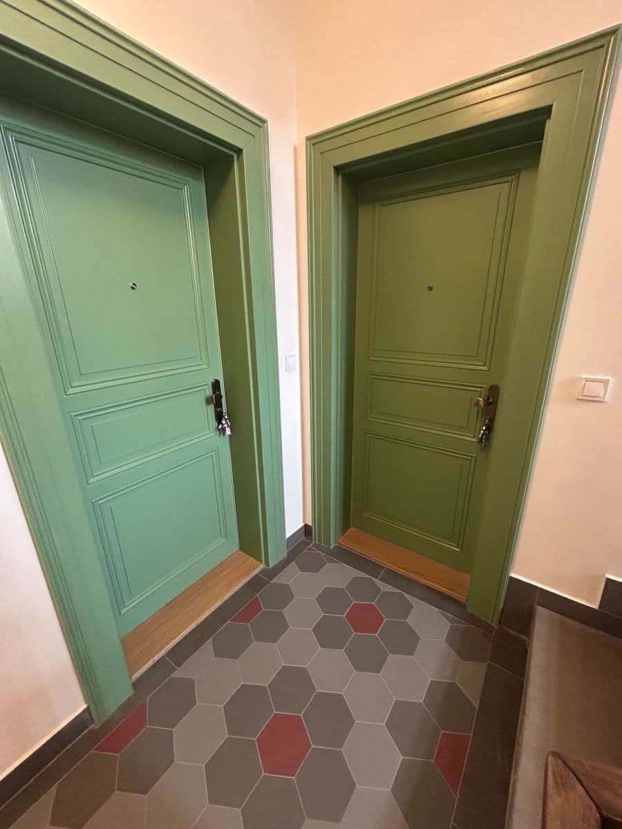 1 bedroom with open-plan kitchen flat to rent, 48 m², Bořivojova, Prague, Prague 1 bedroom with open-plan kitchen flat to rent, 48 m², Bořivojova, Prague, Prague