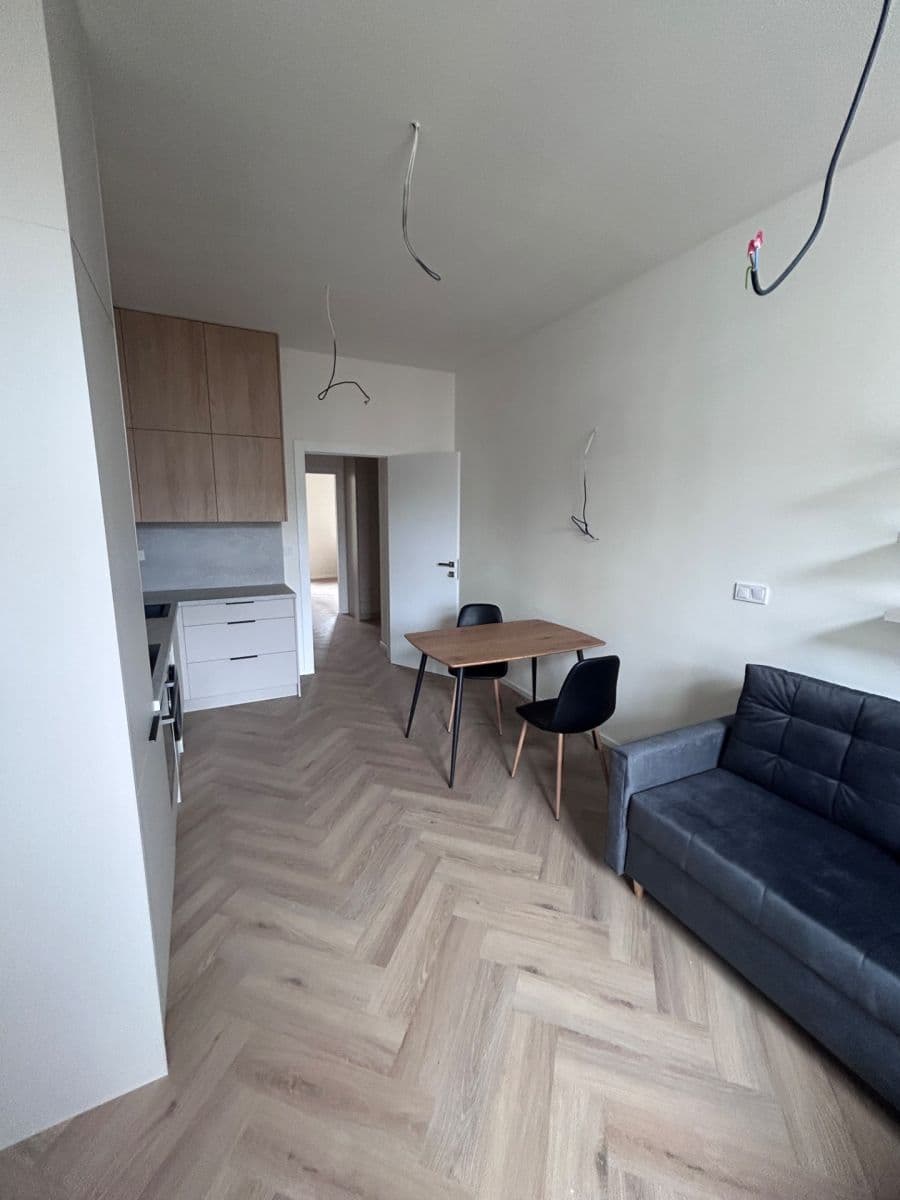 1 bedroom with open-plan kitchen flat to rent, 48 m², Bořivojova, Prague, Prague 1 bedroom with open-plan kitchen flat to rent, 48 m², Bořivojova, Prague, Prague