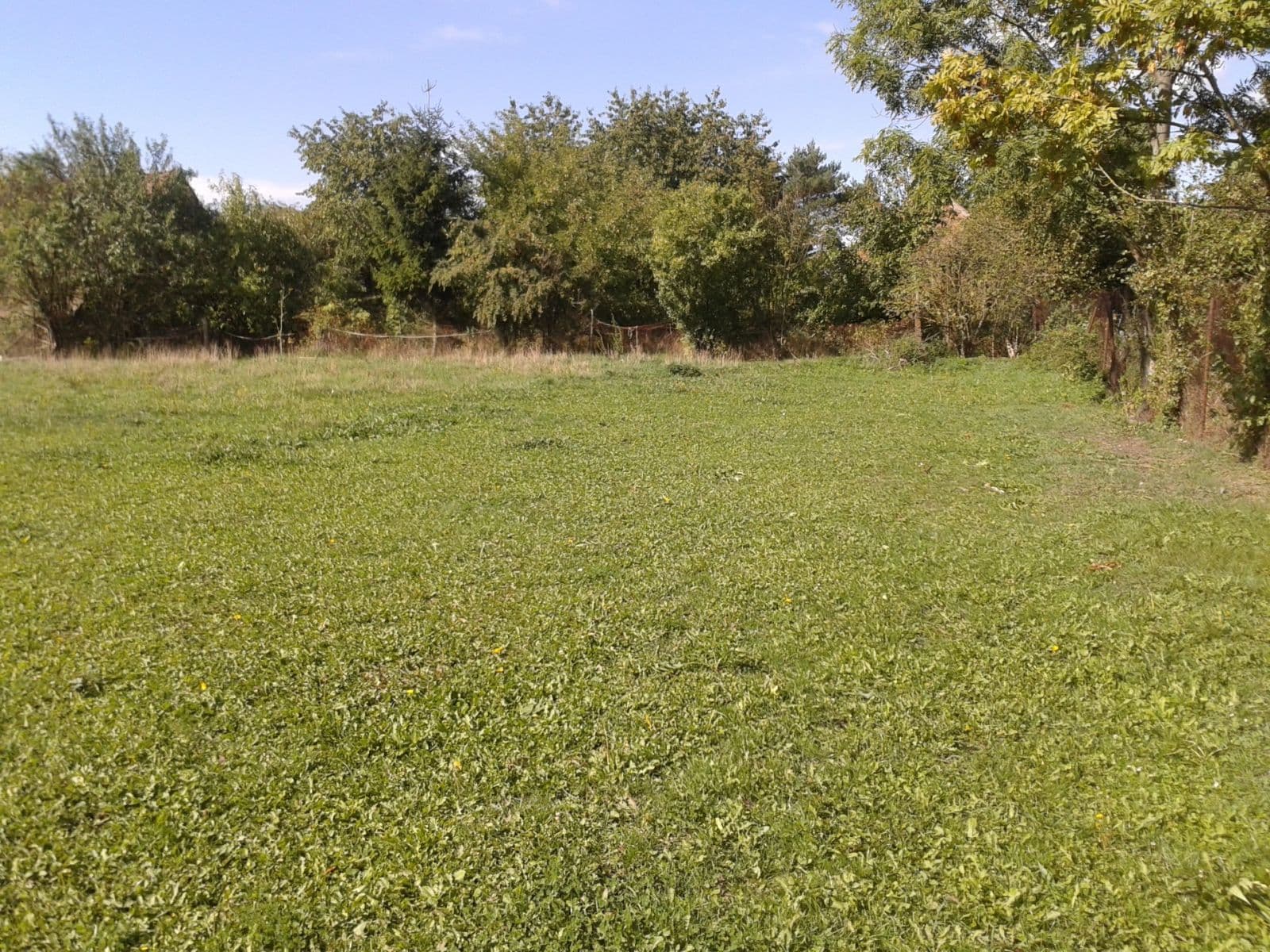 plot to rent, 1,555 m², Městec Králové, Středočeský Region plot to rent, 1,555 m², Městec Králové, Středočeský Region