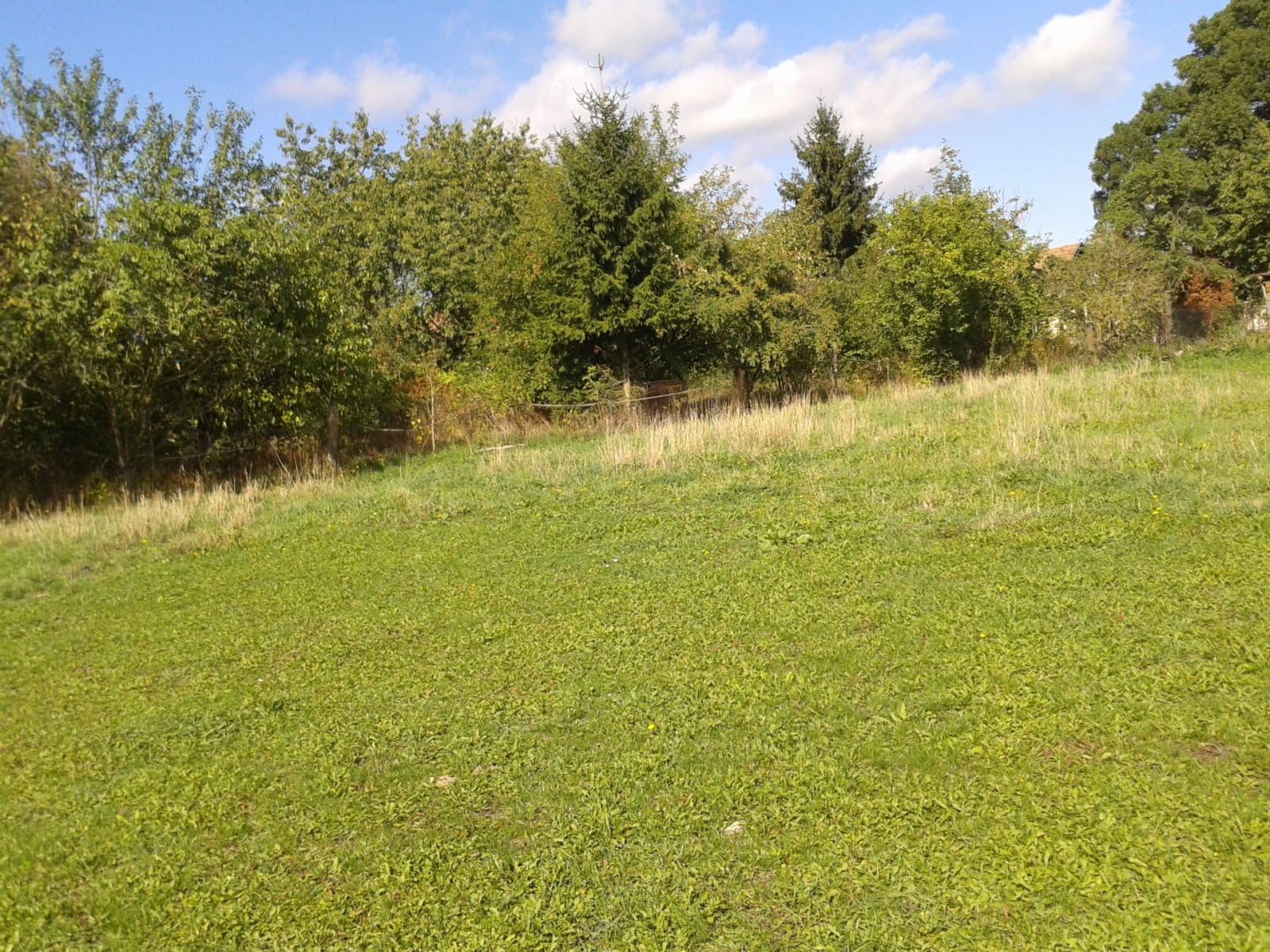 plot to rent, 1,555 m², Městec Králové, Středočeský Region plot to rent, 1,555 m², Městec Králové, Středočeský Region