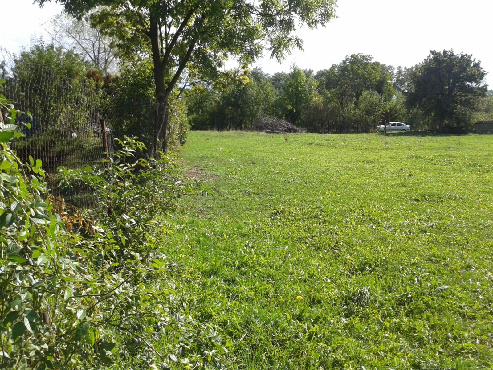 plot to rent, 1,555 m², Městec Králové, Středočeský Region plot to rent, 1,555 m², Městec Králové, Středočeský Region