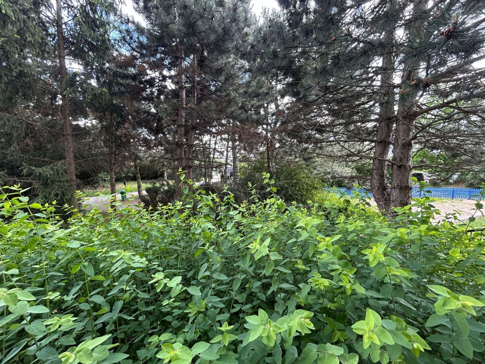 Studio flat to rent, 49 m², Bellušova, Prague, Prague Studio flat to rent, 49 m², Bellušova, Prague, Prague