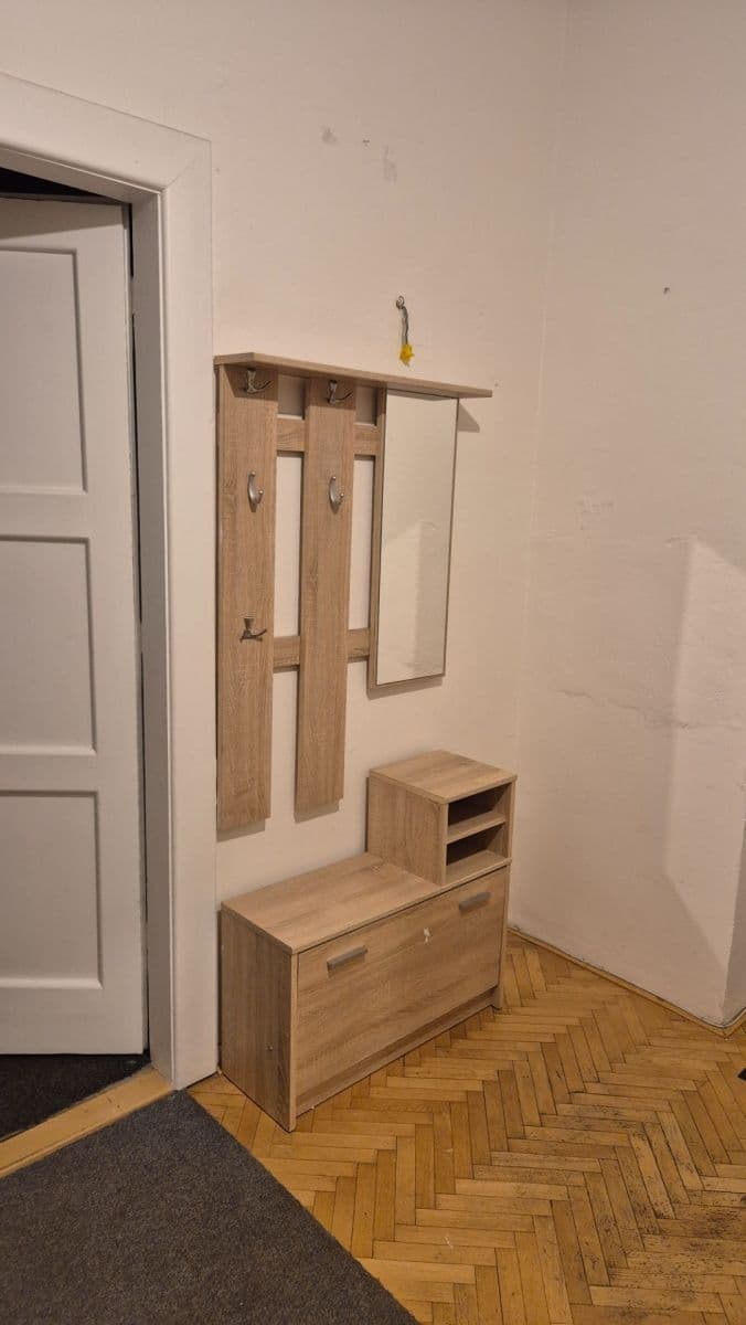 1 bedroom with open-plan kitchen flat to rent, 62 m², Na Zlatnici, Prague, Prague 1 bedroom with open-plan kitchen flat to rent, 62 m², Na Zlatnici, Prague, Prague