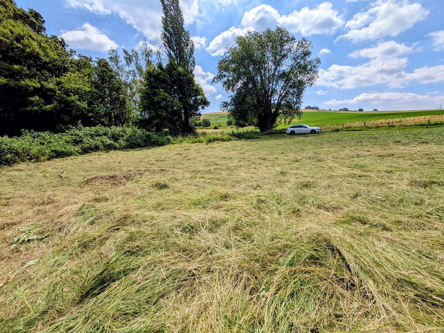 plot for sale, 9,037 m², Rodenberg, Lower Saxony plot for sale, 9,037 m², Rodenberg, Lower Saxony
